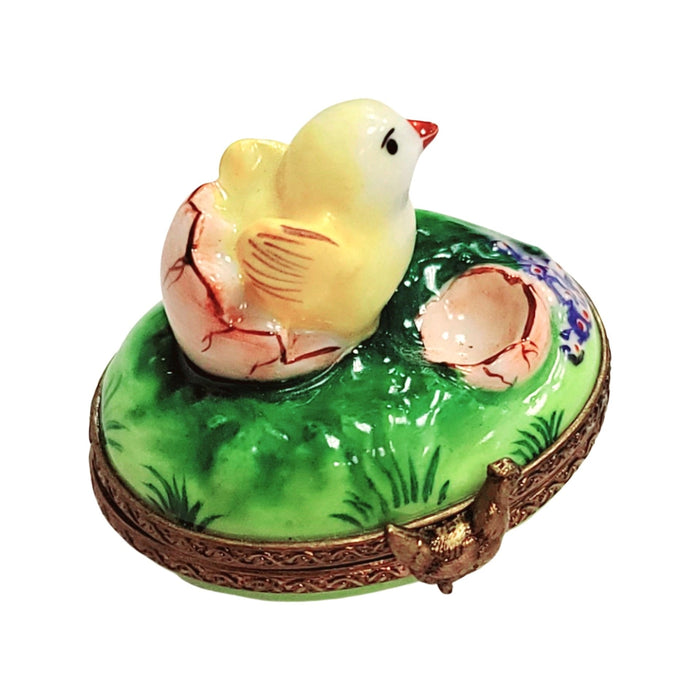 Chick Hatching Limoges Box Porcelain Figurine-farm birds LIMOGES BOXES-CH2P369