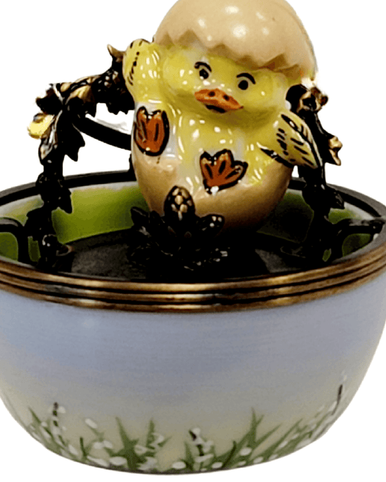 Chick in Egg at Farm Chicken-egg easter Rochard Limoges Box-CH1R339