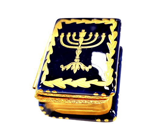 Menorah Book Judiasm Hannukah-religion Limoges Box jewish-CH4F135