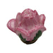 Open Rose Bud-valentine rose garden-CH6D205