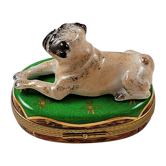 French pug dog on green