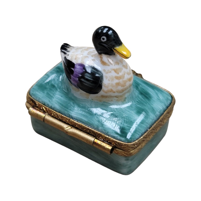 Small Mallard Duck-bird limoges boxes-CH6D214