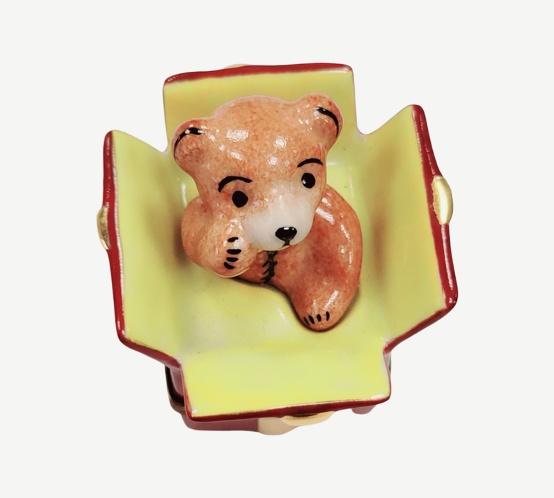 Teddy Bear in Present-xmas theme teddy-CH1R177