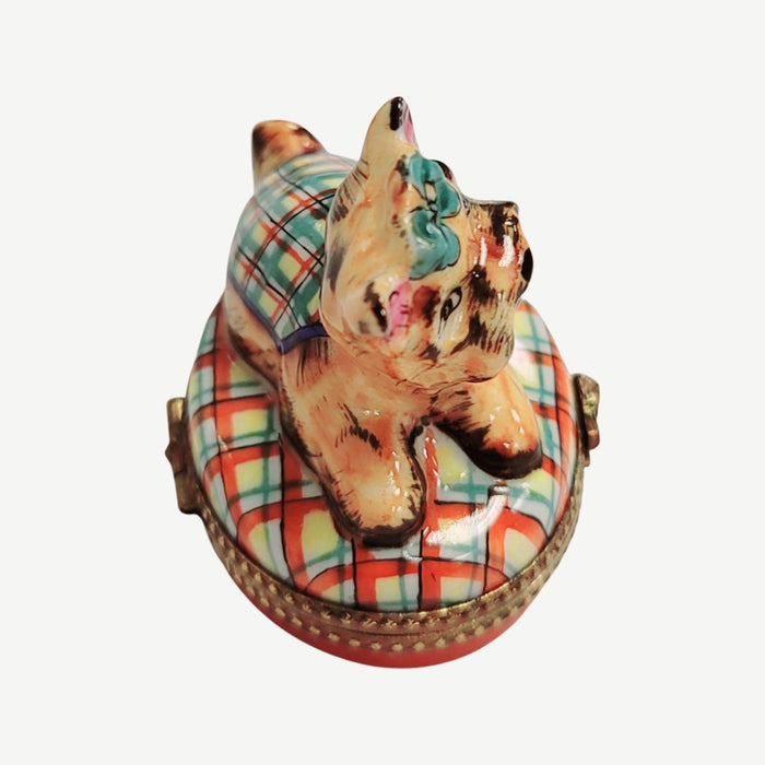 Terrier or Yorkshire Dog on Plaid-dog-CH3S221