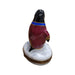 Tuxedo Colorful Snazzy Penguin Limoges Box Porcelain Figurine-xmas bird birds special winter travel LIMOGES BOXES-CH3S209