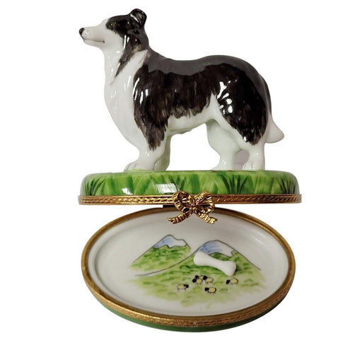 Black & White Collie Dog with Removable Bone Limoges Box - Limoges Box Boutique