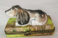 Long Earred Dog Porcelain Limoges Trinket Box - Limoges Box Boutique