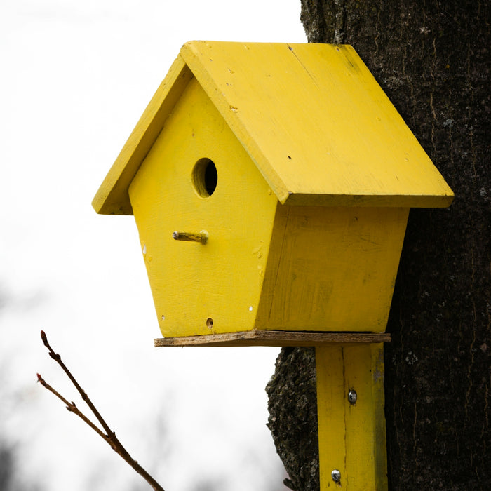 yellow and brown wooden bird house