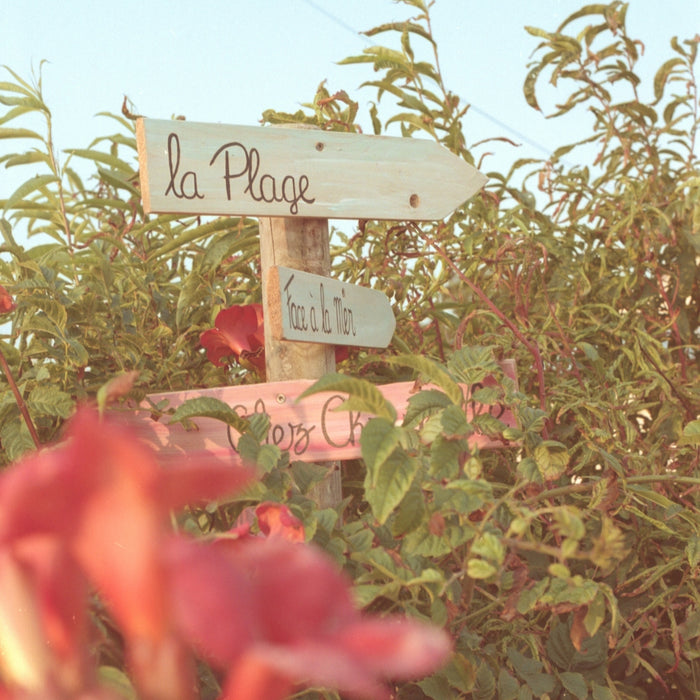 a wooden sign sitting in the middle of a garden