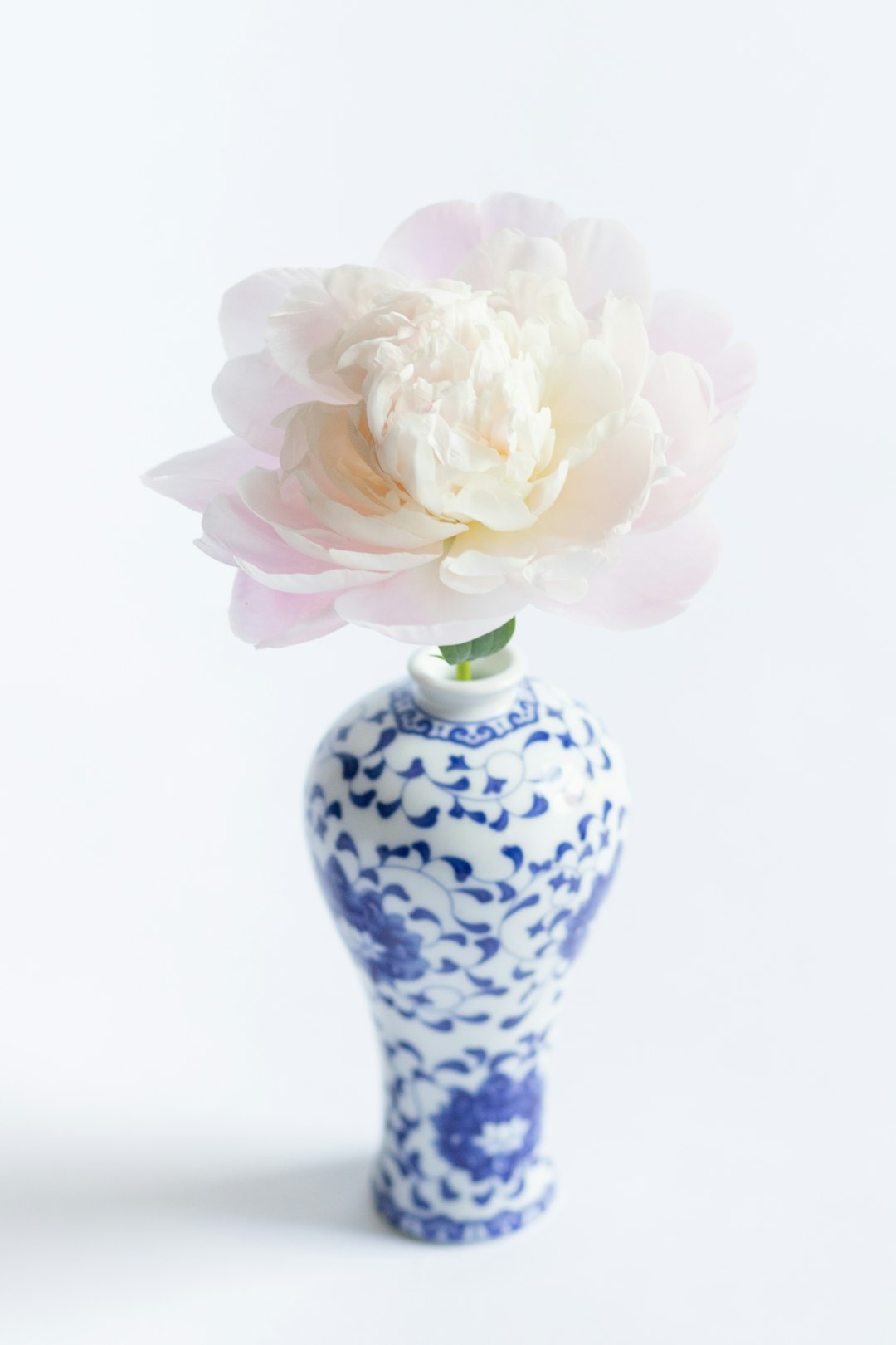Inspiration from Nature: Floral Themes in Limoges Porcelain