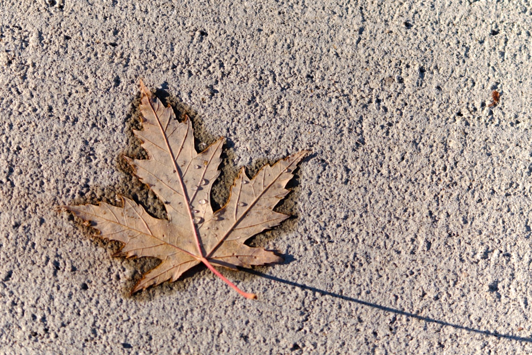 Unveiling the Legends: Mythological Motifs in Limoges Porcelain