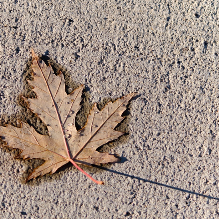 Unveiling the Legends: Mythological Motifs in Limoges Porcelain