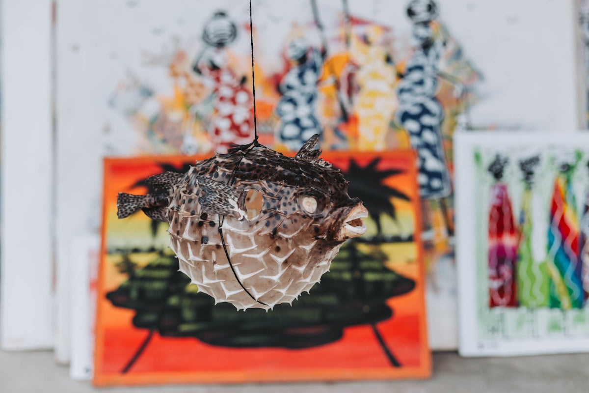 a close up of a bird on a string