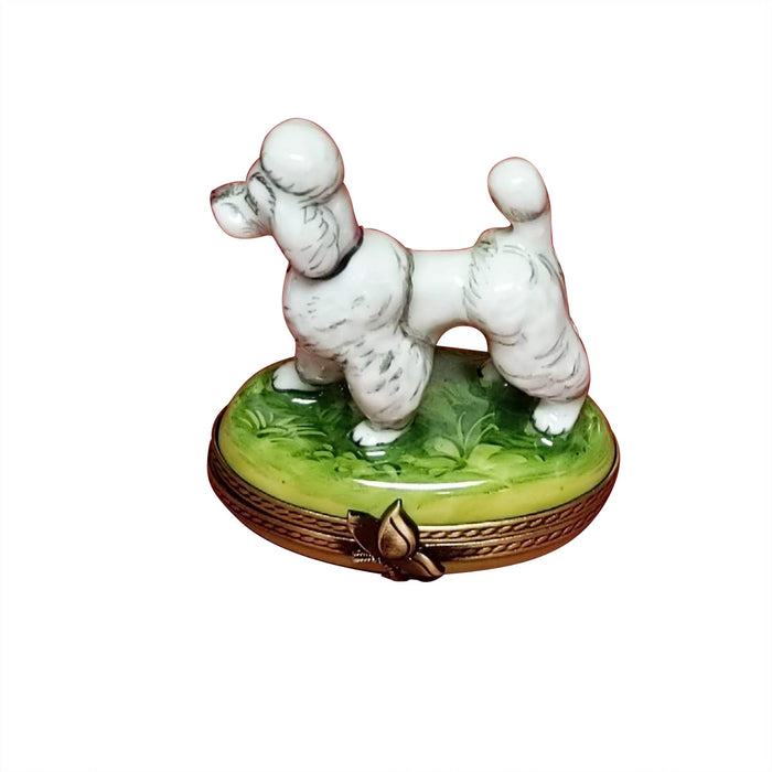 White Poodle