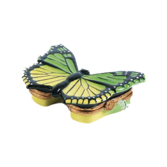 Green-Yellow Butterfly