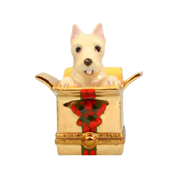 Westie Dog In Christmas Present