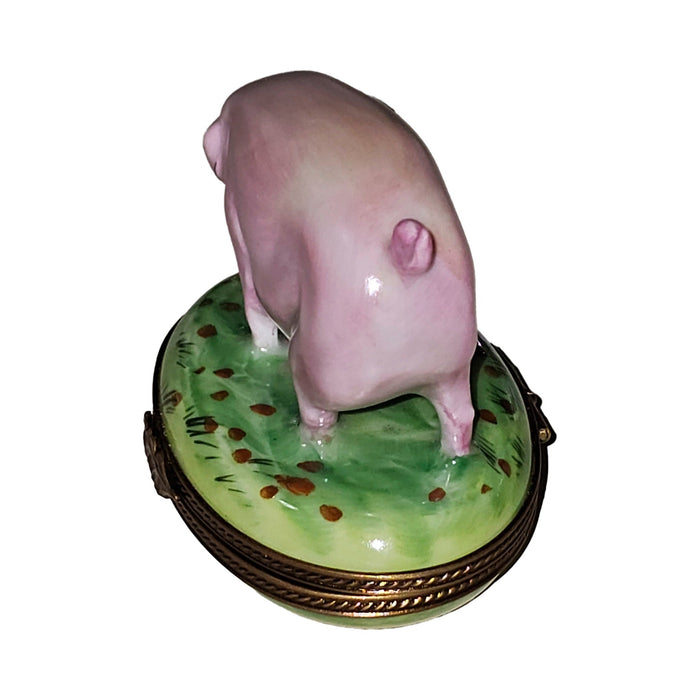 Pig on Green Grass USA Limoges box painted by hand in Limoges, France, a gift to treasure