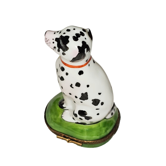 Dalmatian Dog Collectible Box Porcelain Limoges dog French Trinket Box