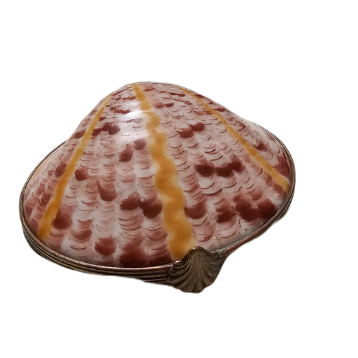 Sea Shell Treasure Box for Ocean Lovers Porcelain Limoges beach ocean French Trinket Box