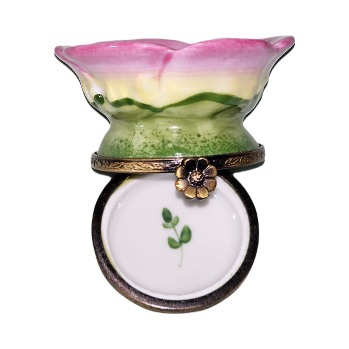 Treasured French collectible: Medium Pink Flower with Bee Limoges box, painted by hand