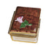Love Story Rose Box for Romance Porcelain Limoges book love valentine French Trinket Box