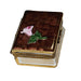 Love Story Rose Box for Romance Porcelain Limoges book love valentine French Trinket Box