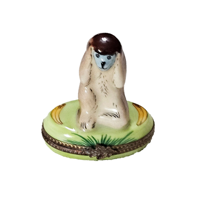 Charming Monkey Limoges Box for Animal Lovers Porcelain Limoges wild animal French Trinket Box