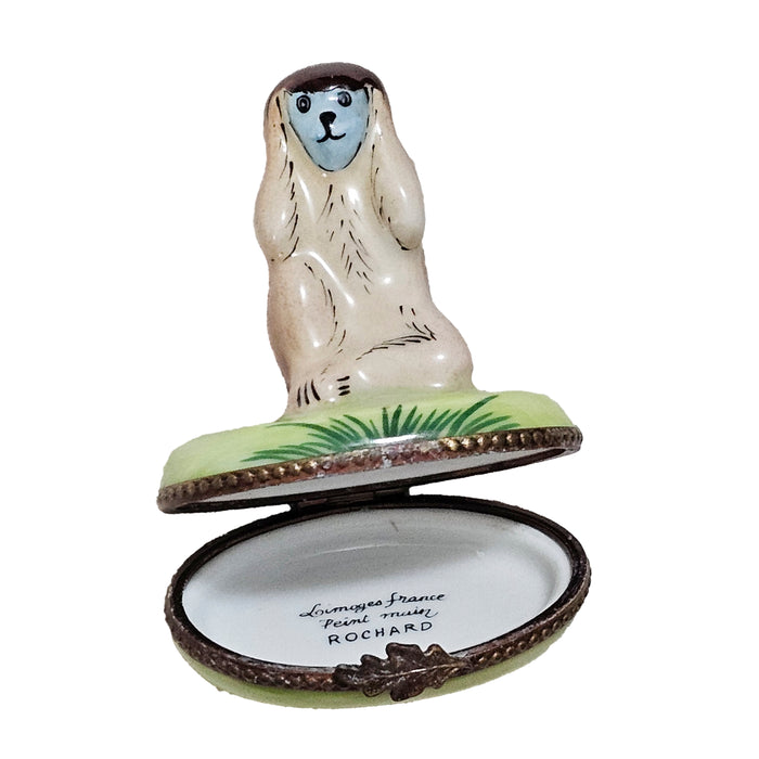 Charming Monkey Limoges Box for Animal Lovers Porcelain Limoges wild animal French Trinket Box