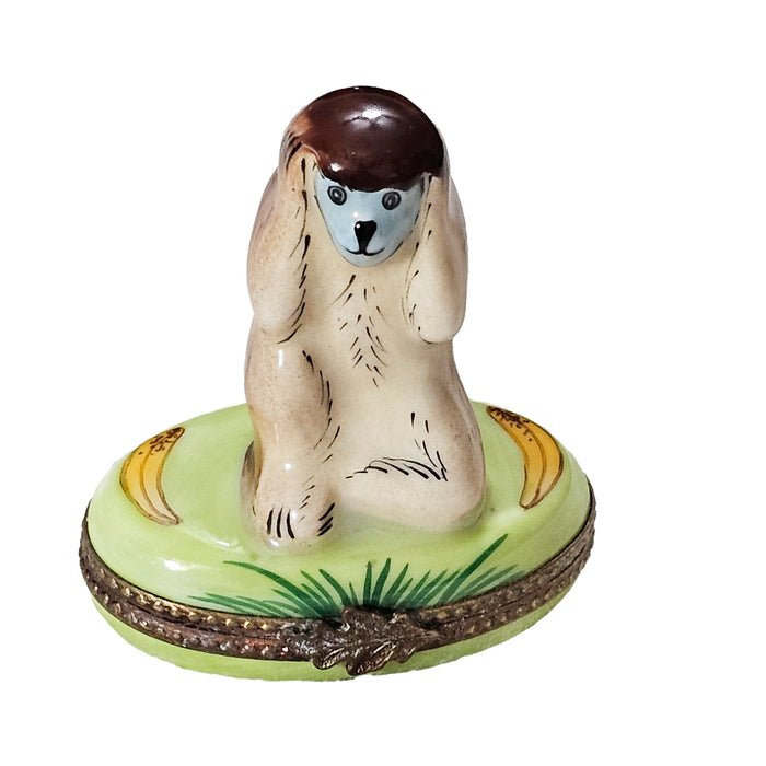 Charming Monkey Limoges Box for Animal Lovers Porcelain Limoges wild animal French Trinket Box