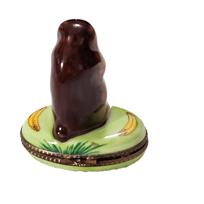 Charming Monkey Limoges Box for Animal Lovers Porcelain Limoges wild animal French Trinket Box