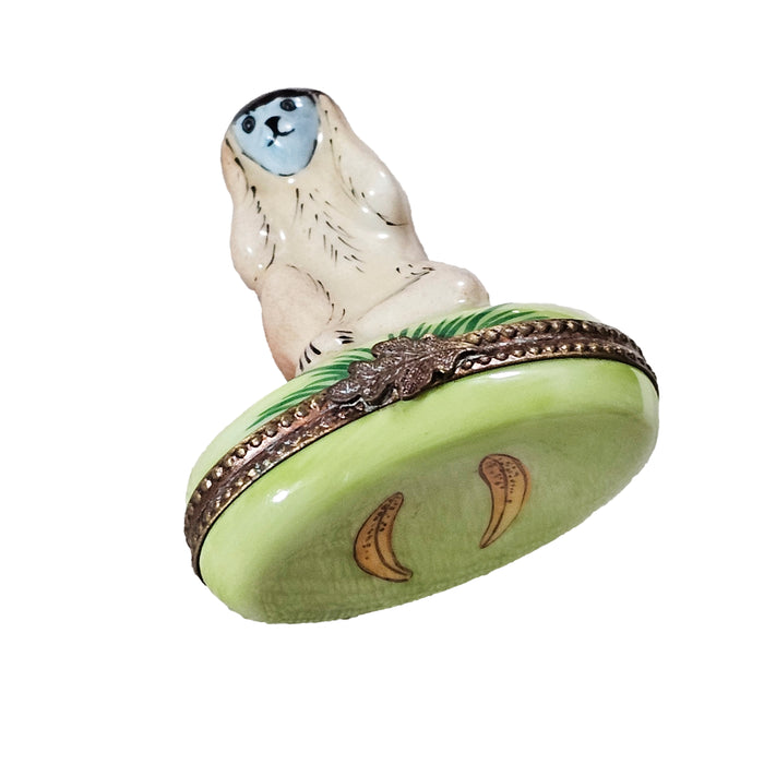 Charming Monkey Limoges Box for Animal Lovers Porcelain Limoges wild animal French Trinket Box