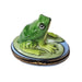 Frog Limoges Box for Nature Lovers Porcelain Limoges frog French Trinket Box