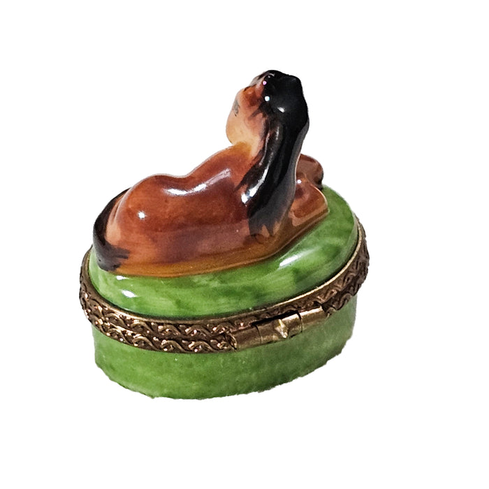 Miniature Horse Box for Collectors Porcelain Limoges horse French Trinket Box