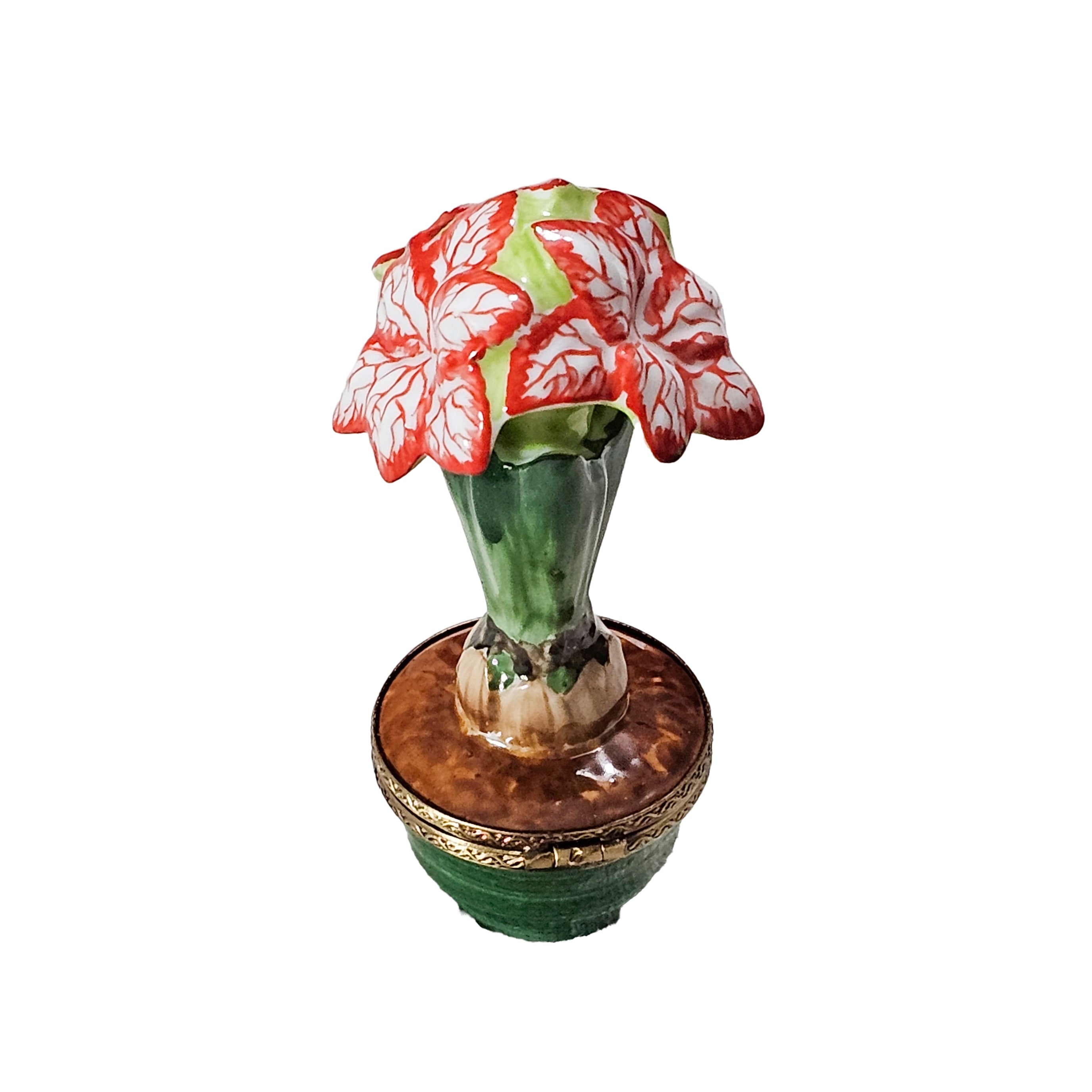 20250501_182524.jpg?v=1749337872