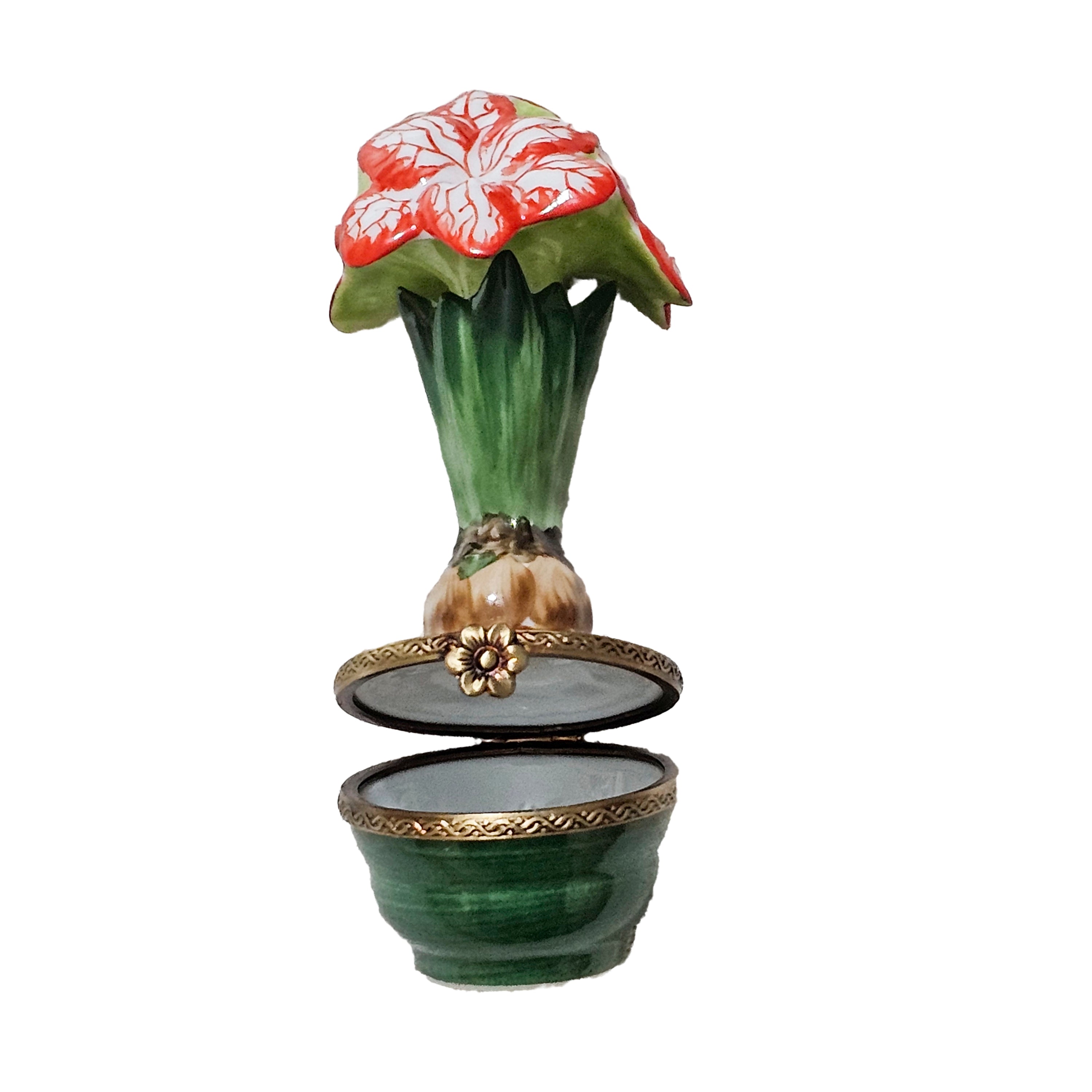 20250501_182532.jpg?v=1749337872