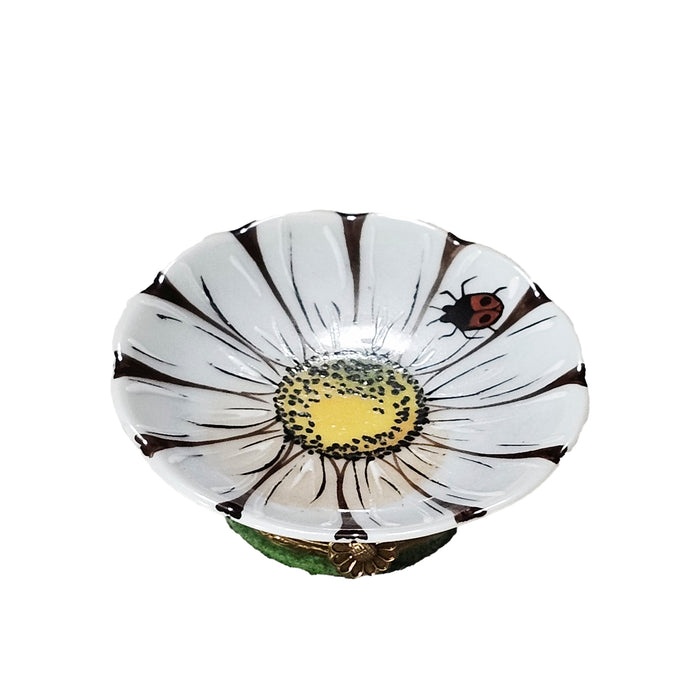 White Sunflower Limoges Box for Nature Lovers Porcelain Limoges Flower French Trinket Box