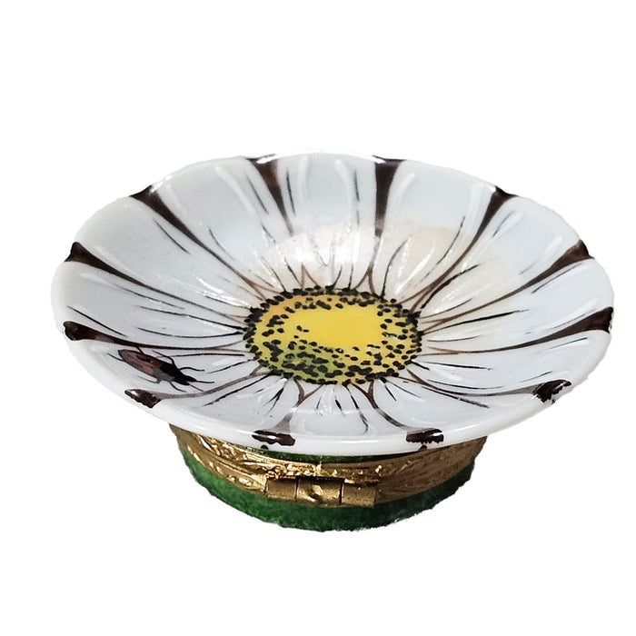 White Sunflower Limoges Box for Nature Lovers Porcelain Limoges Flower French Trinket Box
