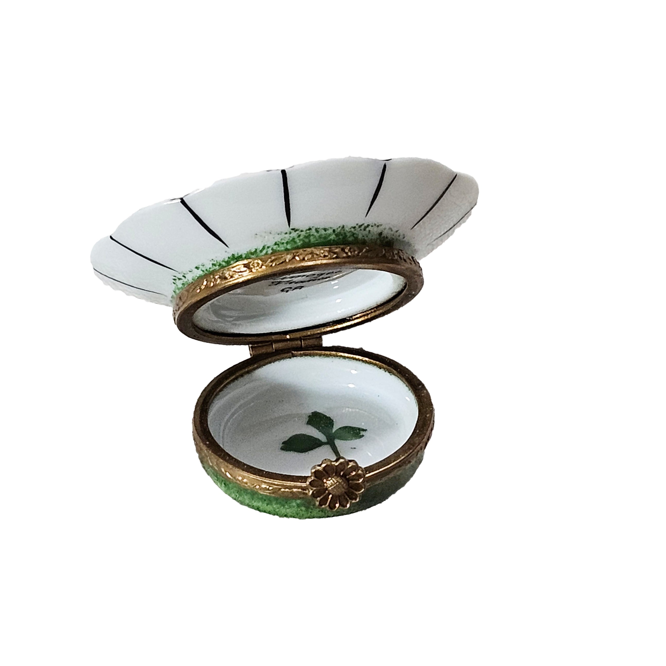 20250501_182853.jpg?v=1749337741