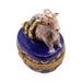 Every brushstroke by hand on the Capricorn Zodiac Limoges box from France