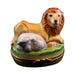 Limoges Boutique presents the Lion and Lamb Jewish Christian, a genuine Limoges box painted by hand in France