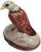 American Bald Eagle Limoges Box for Collectors Porcelain Limoges bird patriotic united states French Trinket Box