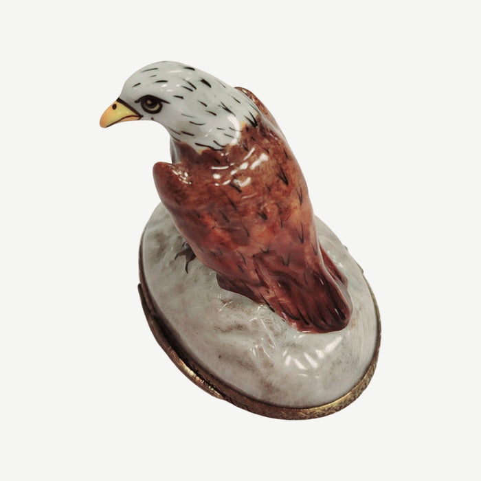 American Bald Eagle-bird patriotic united states-CH2P136