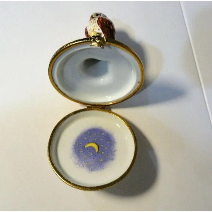 Barn Owl Limoges Box for Bird Lovers Porcelain Limoges Wild Birds owl French Trinket Box