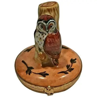 Barn Owl Limoges Box for Bird Lovers Porcelain Limoges Wild Birds owl French Trinket Box