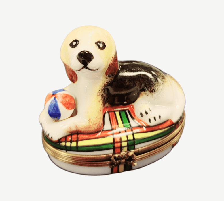 Beagle Dog Limoges Box for Dog Lovers Porcelain Limoges dog beach limoges box French Trinket Box