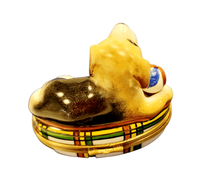 Beagle Dog Limoges Box for Dog Lovers Porcelain Limoges dog beach limoges box French Trinket Box