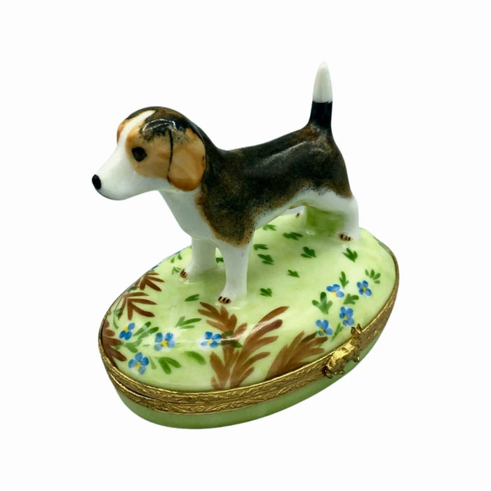 Beagle Dog Limoges Box for Dog Lovers Porcelain Limoges Dog French Trinket Box