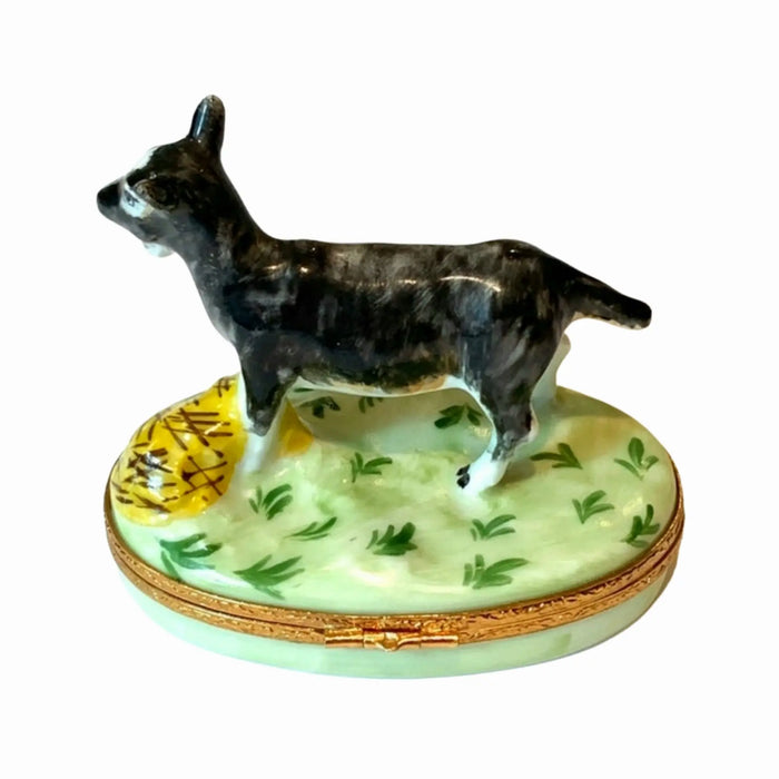 Billy Goat Limoges Box for Collectors Porcelain Limoges Farm Animals French Trinket Box