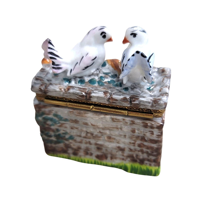 Birds on Fountain Delight for Collectors Porcelain Limoges birds garden French Trinket Box