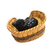 Black Cat in Basket Limoges Box Porcelain Figurine-Cat-CH6D254